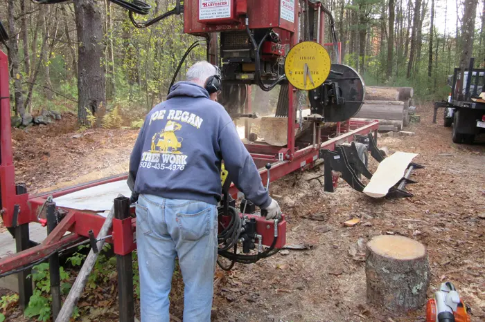 Man operating a sawmill in the forest.