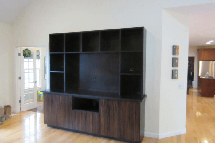 Built-In Entertainment